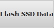 Flash SSD Data Recovery Point Lookout data